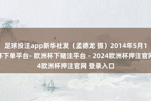 足球投注app新华社发（孟德龙 摄）2014年5月12日-欧洲杯下单平台- 欧洲杯下赌注平台 - 2024欧洲杯押注官网 登录入口