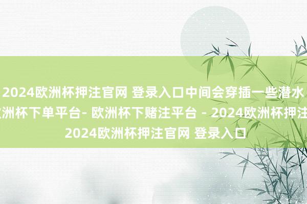 2024欧洲杯押注官网 登录入口中间会穿插一些潜水或健身活动-欧洲杯下单平台- 欧洲杯下赌注平台 - 2024欧洲杯押注官网 登录入口