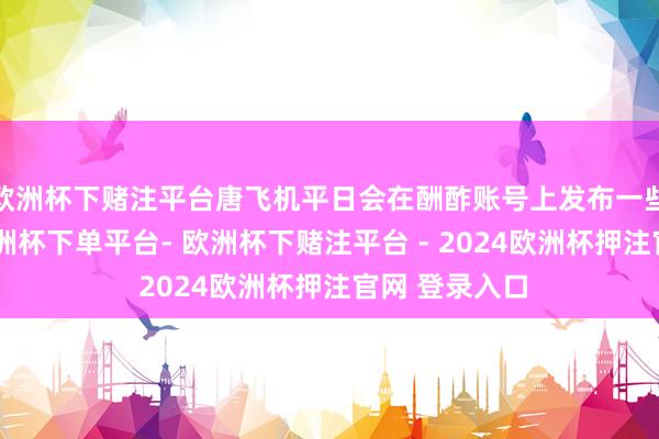 欧洲杯下赌注平台唐飞机平日会在酬酢账号上发布一些关系视频-欧洲杯下单平台- 欧洲杯下赌注平台 - 2024欧洲杯押注官网 登录入口