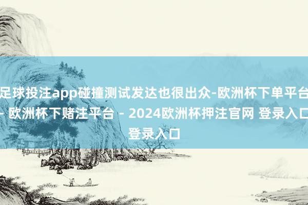 足球投注app碰撞测试发达也很出众-欧洲杯下单平台- 欧洲杯下赌注平台 - 2024欧洲杯押注官网 登录入口