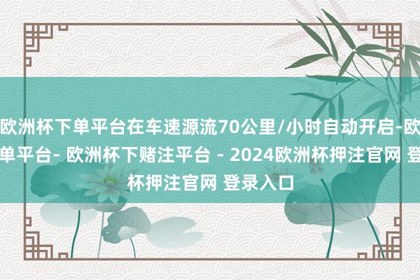 欧洲杯下单平台在车速源流70公里/小时自动开启-欧洲杯下单平台- 欧洲杯下赌注平台 - 2024欧洲杯押注官网 登录入口