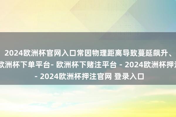 2024欧洲杯官网入口常因物理距离导致蔓延飙升、手段开释卡顿-欧洲杯下单平台- 欧洲杯下赌注平台 - 2024欧洲杯押注官网 登录入口