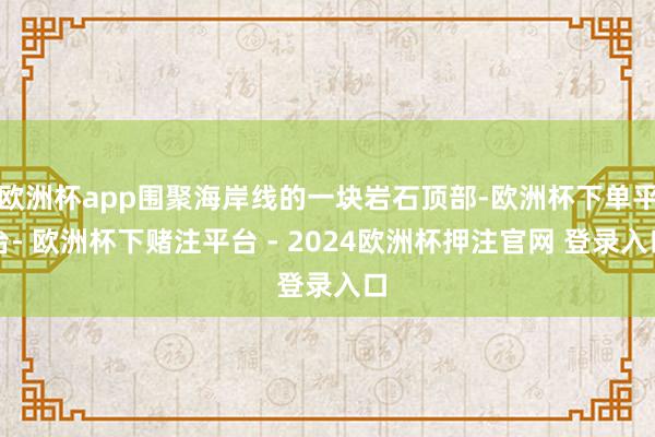 欧洲杯app围聚海岸线的一块岩石顶部-欧洲杯下单平台- 欧洲杯下赌注平台 - 2024欧洲杯押注官网 登录入口