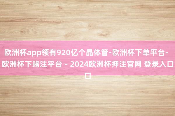 欧洲杯app领有920亿个晶体管-欧洲杯下单平台- 欧洲杯下赌注平台 - 2024欧洲杯押注官网 登录入口