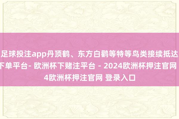 足球投注app丹顶鹤、东方白鹳等特等鸟类接续抵达-欧洲杯下单平台- 欧洲杯下赌注平台 - 2024欧洲杯押注官网 登录入口