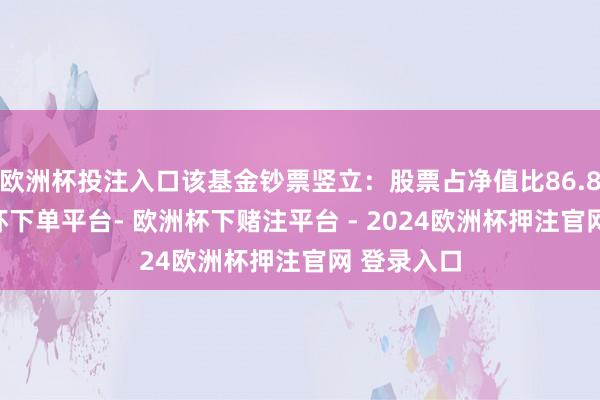 欧洲杯投注入口该基金钞票竖立：股票占净值比86.89%-欧洲杯下单平台- 欧洲杯下赌注平台 - 2024欧洲杯押注官网 登录入口